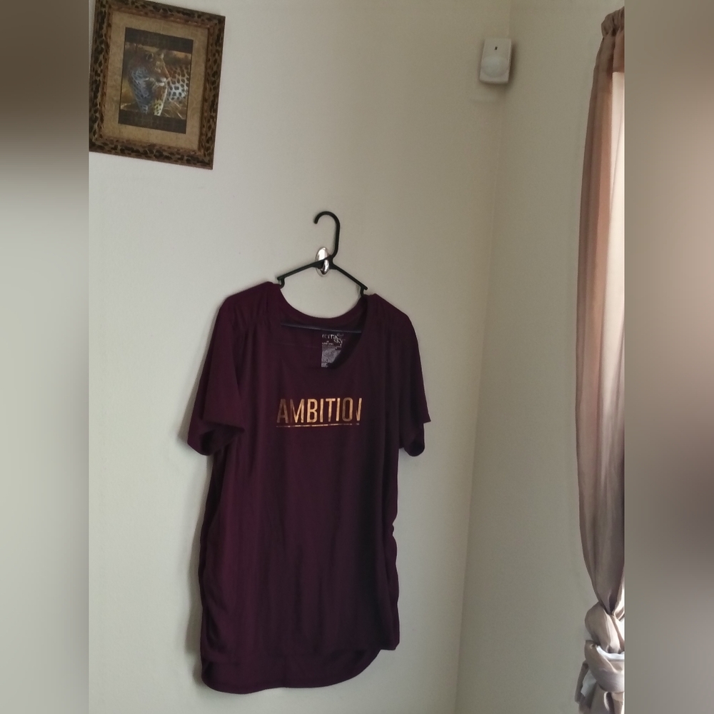 Terra & Sky Shirt Women 1X Maroon "Ambition" Mind Set Casual Academia Vacation